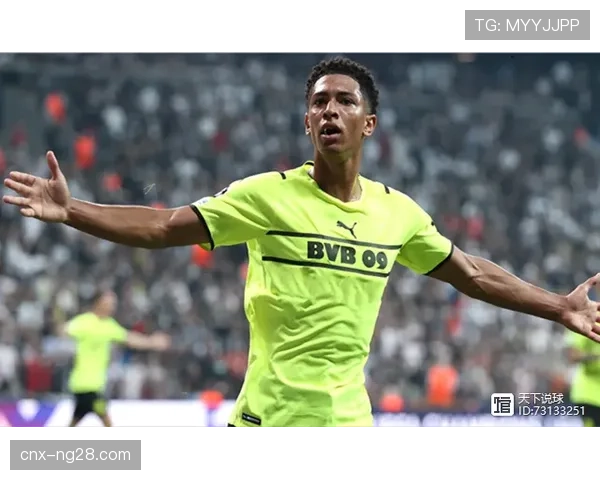 世预赛美洲区赛事强度密集 球员体能储备成考验